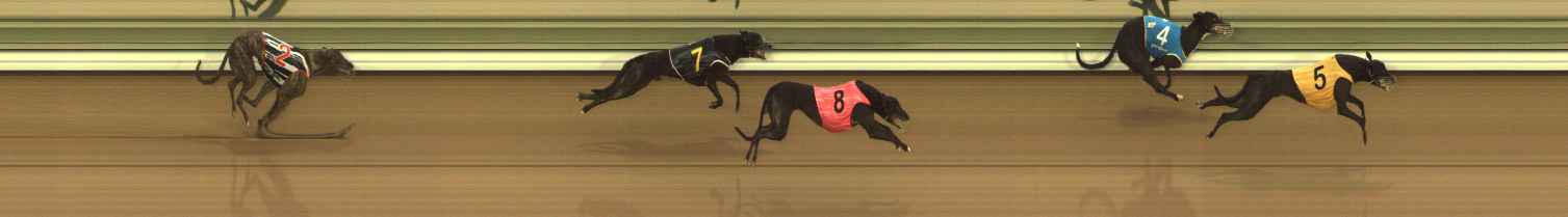 Race result finish photo